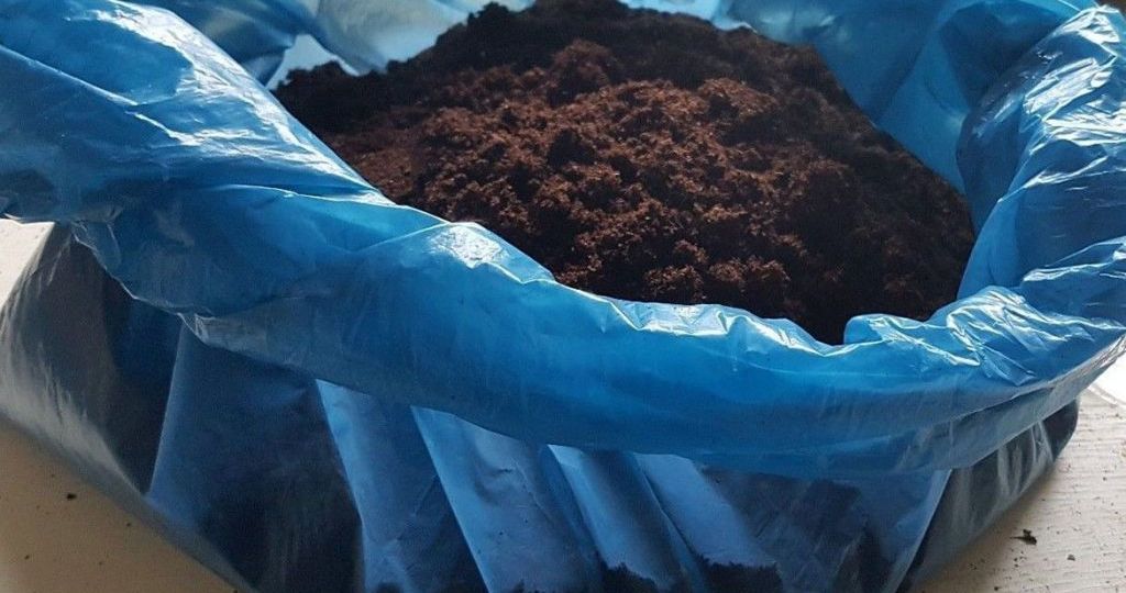 What Type of Compost Is Best for Plug Plants?