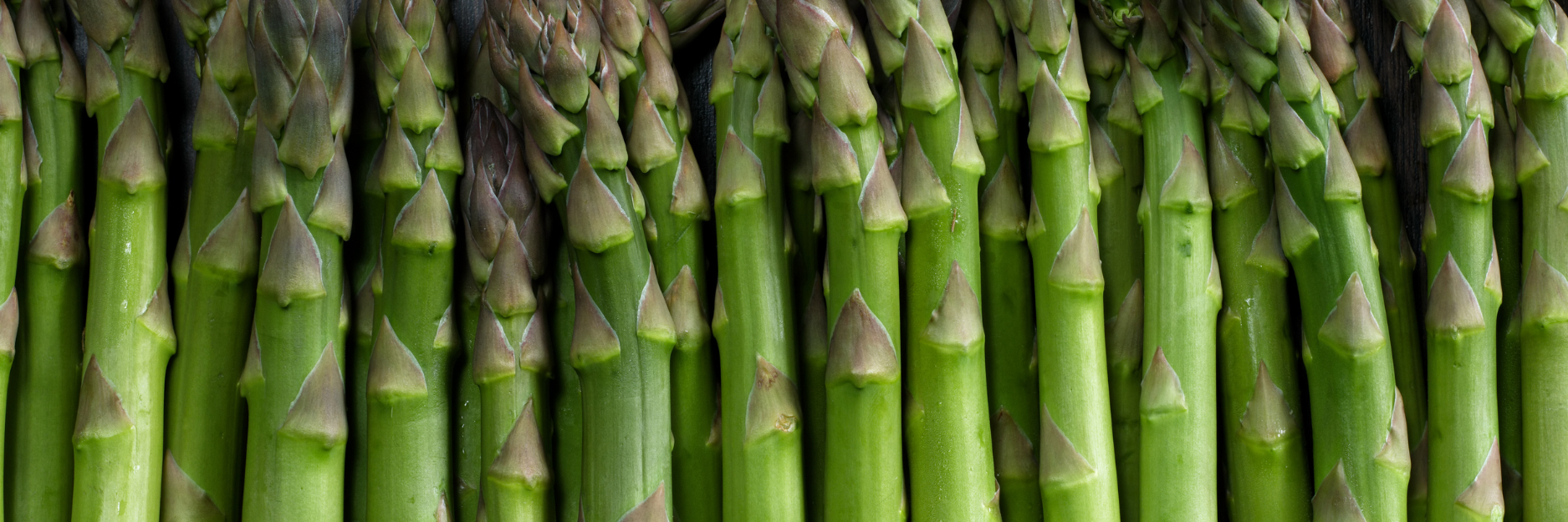 Asparagus