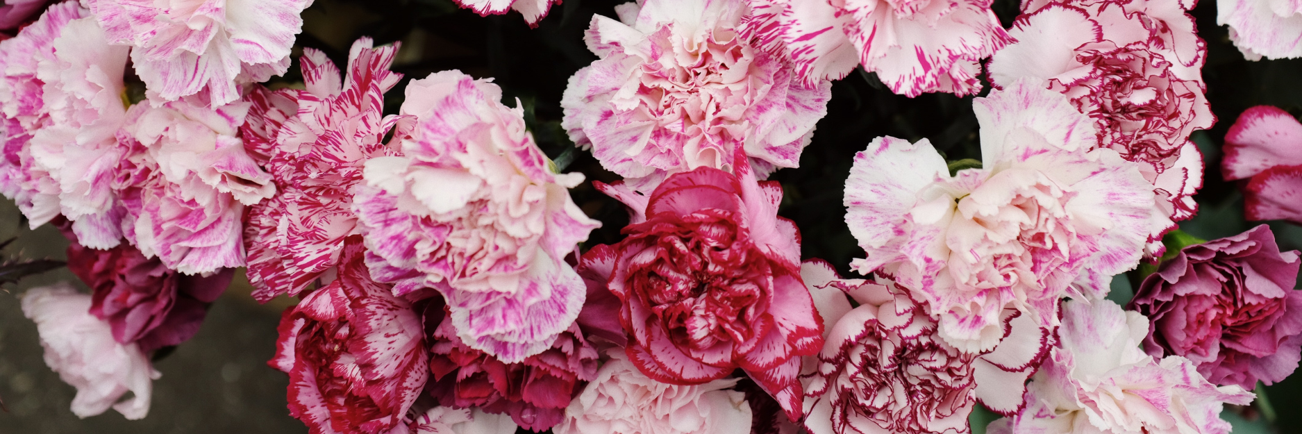 Peony