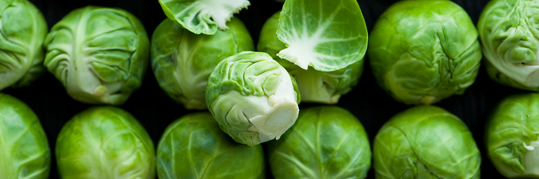 Sprouts