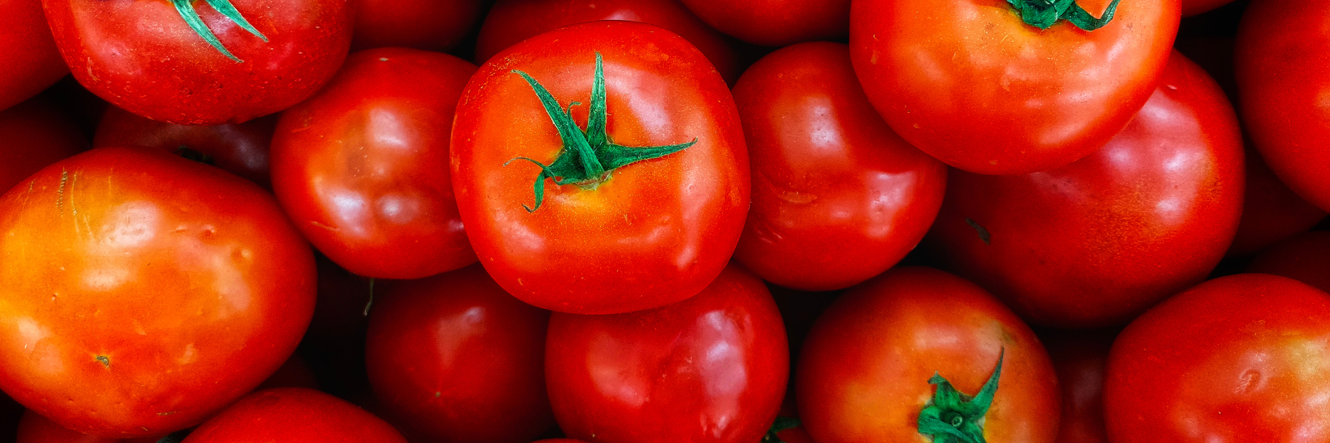 Tomato