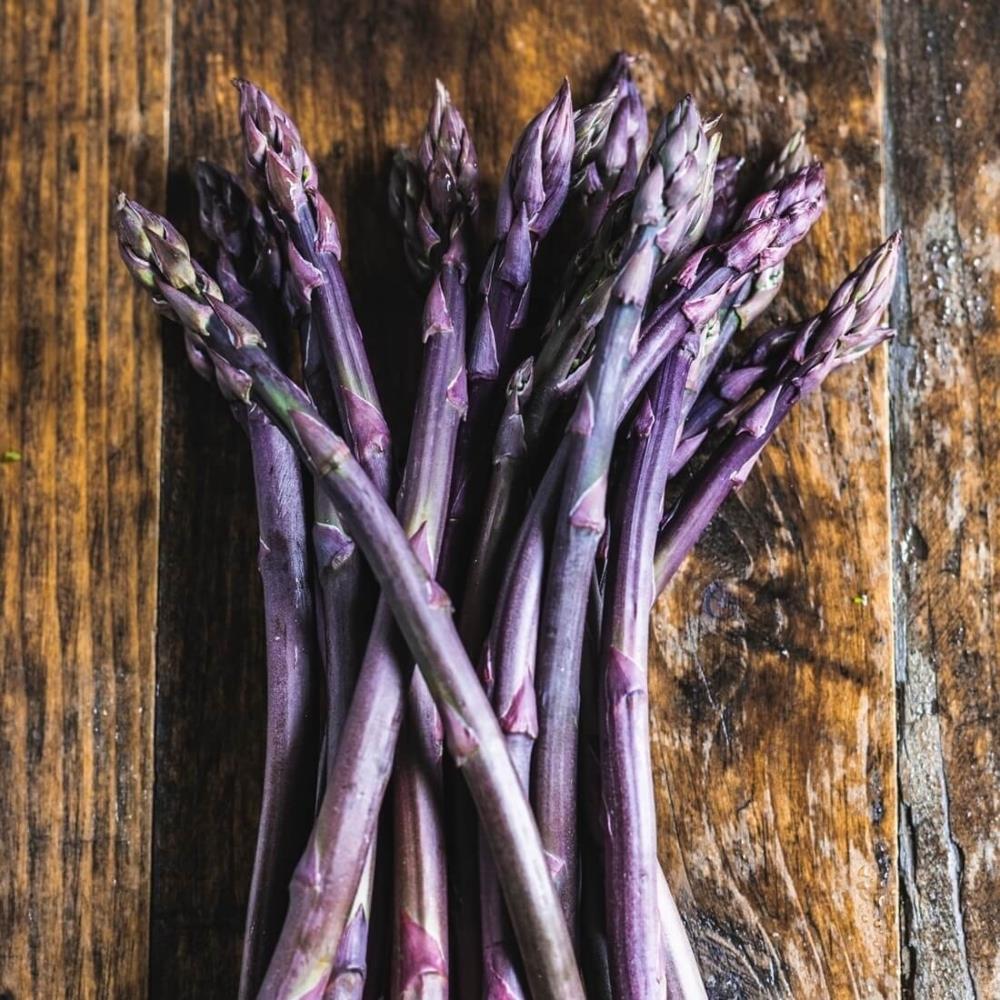Asparagus 'Pacific Purple'
