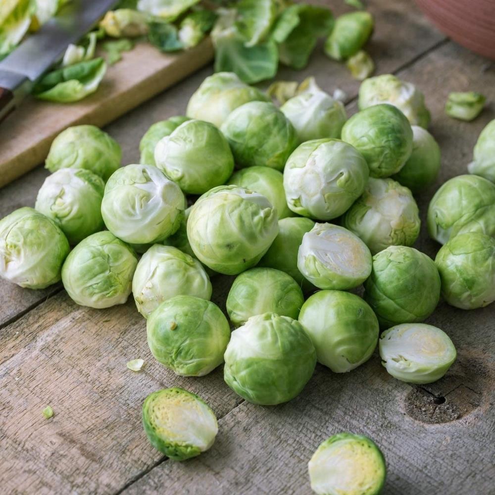 Brussels Sprout F1 'Trafalgar' X12