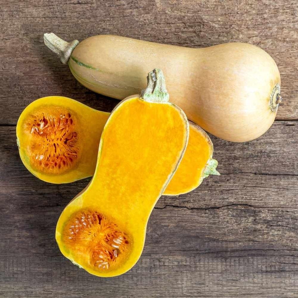 Butternut Squash 'Butternut Hunter' Plug Plants x 3 Grow Your Own