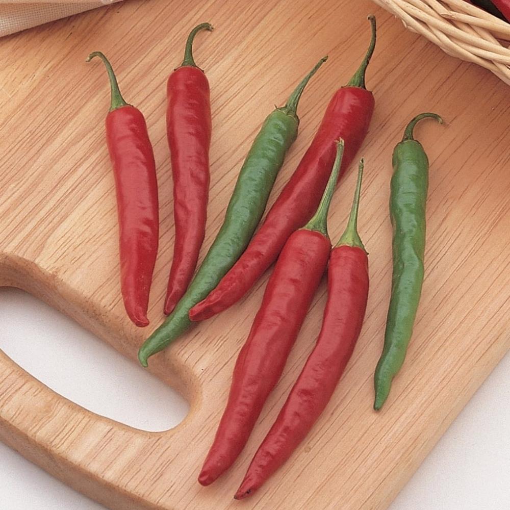 Chilli Pepper 'Chiang Rai' X3
