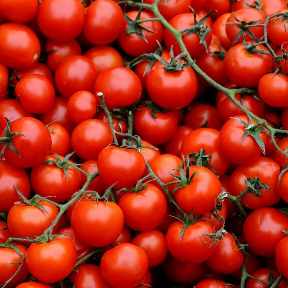 Tomato 'Cherry Baby'  X5