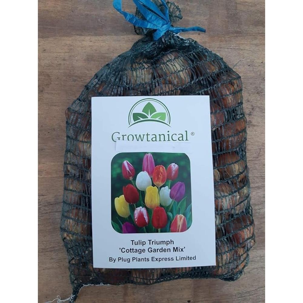 Traditional Spring Flowering Garden Bulb Mix X100