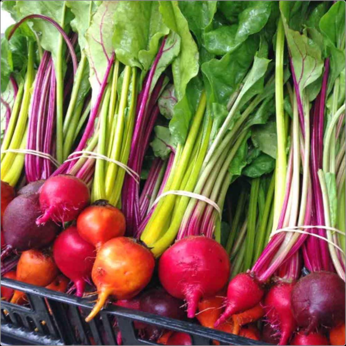 Beetroot 'Rainbow Mix' X6