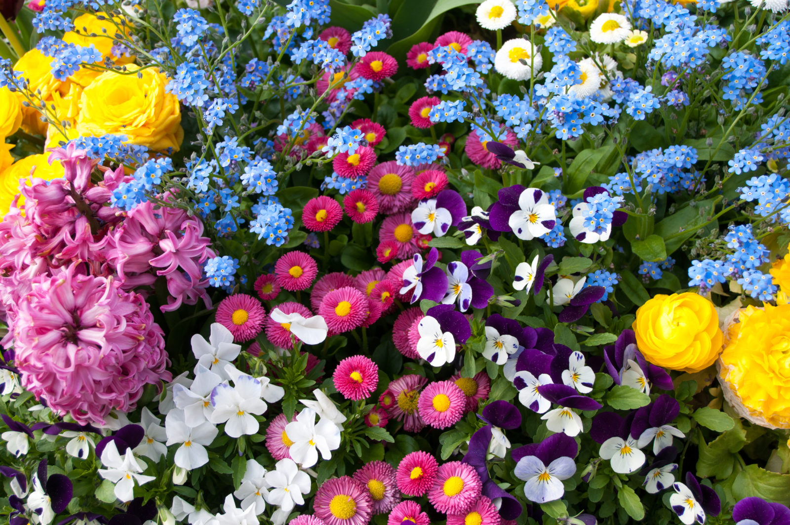 Autumn Bedding and Basket