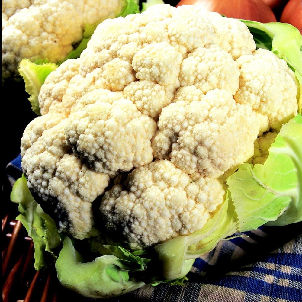 Cauliflower 'All Year Round' X12