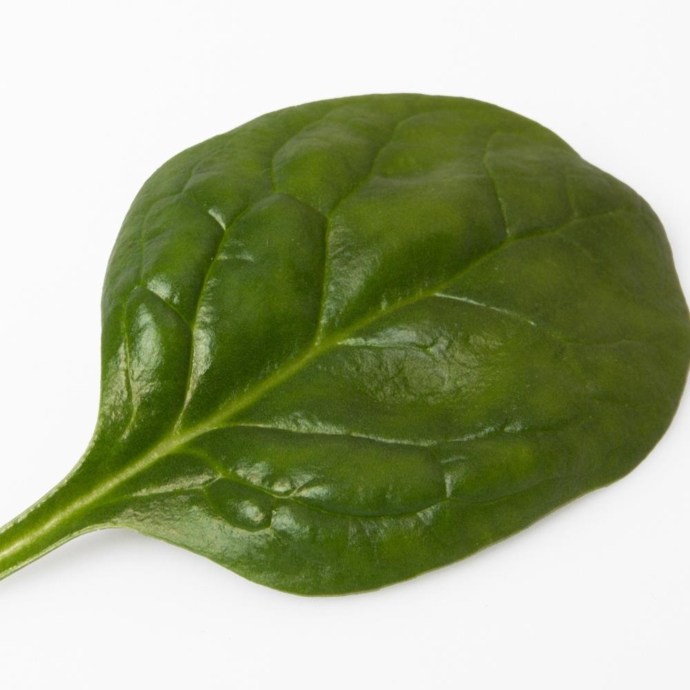 Spinach 'Napa' X5