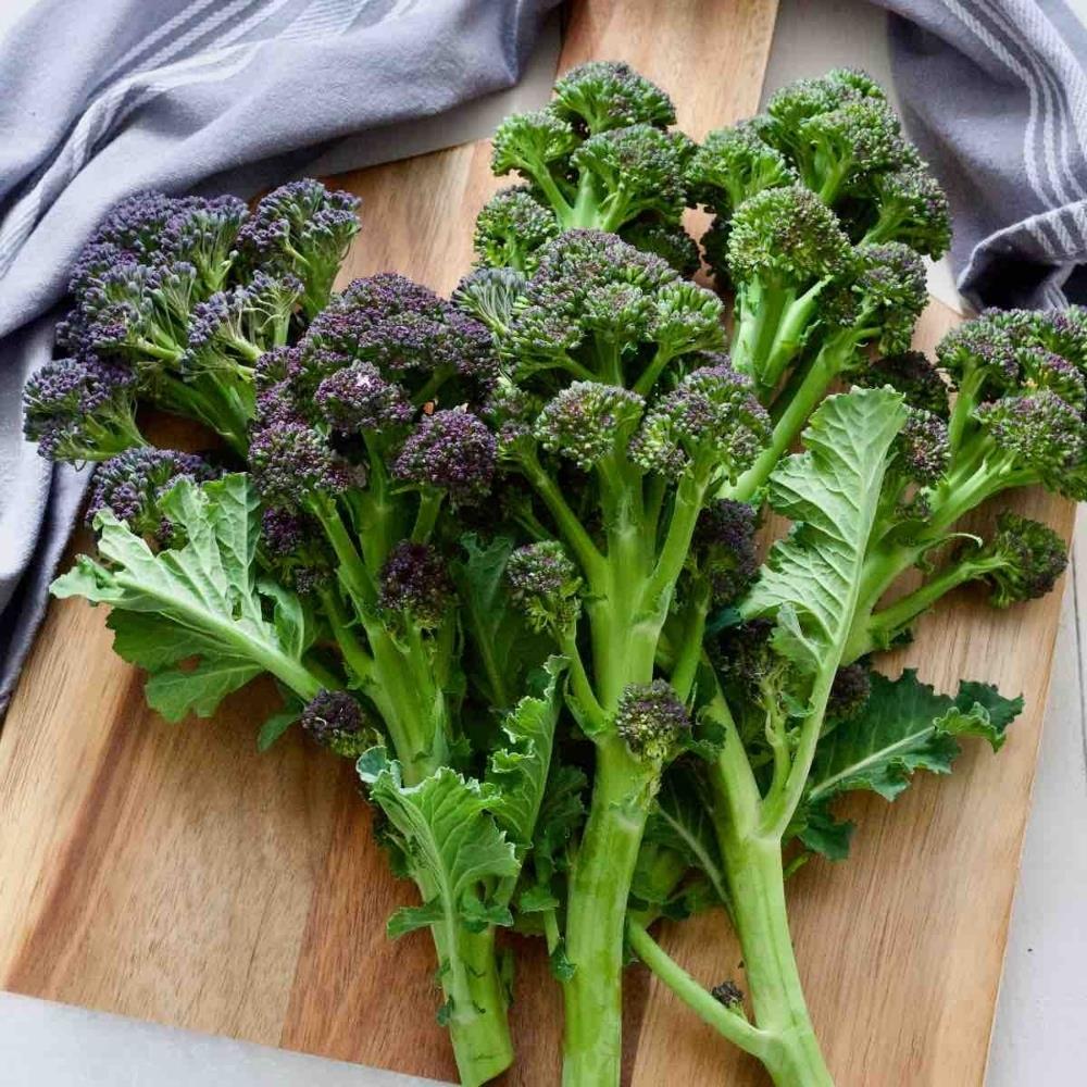 Purple Sprouting Broccoli X12