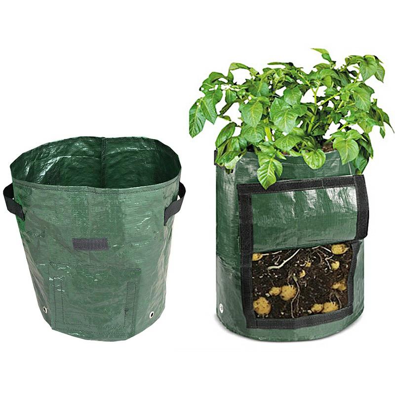 Vegetable Grow Bag